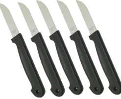 5 st Fruktknivar i rostfritt stål - knivar