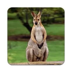 2 ST Känguru Underlägg