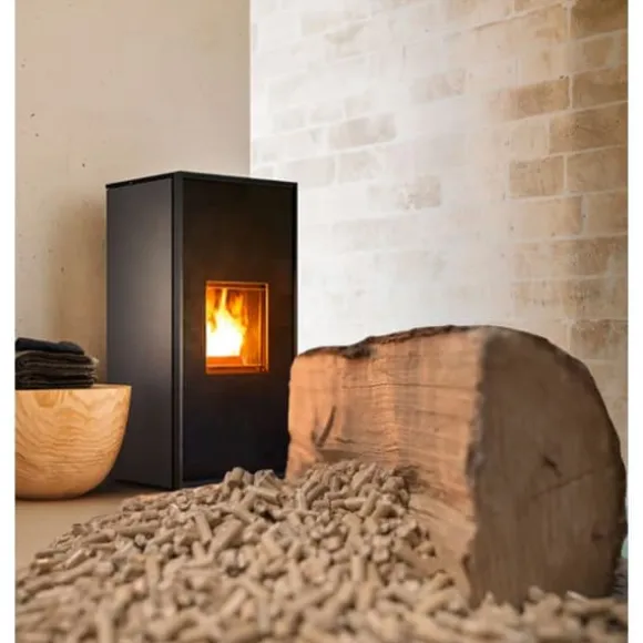 Asprator för aska 600W APG 4 stålbehållare 4l FARTOOLS 101084