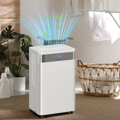 Avfuktare - Elektrisk luftavfuktare - 12 L/dygn - 2 L tank - Tyst - 24 h timer - Kontinuerlig dränering - 12–25 m² - Vit