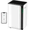 Avfuktare, Effektiv Fuktighetskontroll, Bärbar Design,EU Plug-c, BD068C 16L Med WIFI