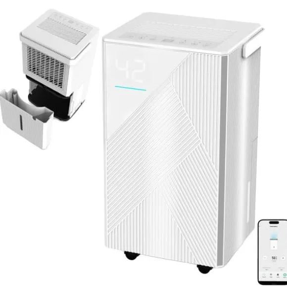 Avfuktare, Effektiv Fuktighetskontroll, Bärbar Design,EU Kontakt-b, BD023K 12L Med WIFI