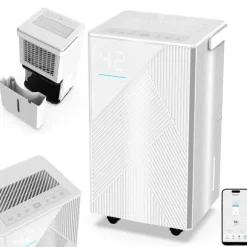 Avfuktare, Effektiv Fuktighetskontroll, Bärbar Design,EU Kontakt-b, BD023K 12L Med WIFI
