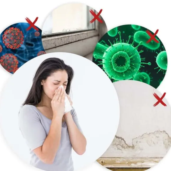 Berdsen BD-528 luftavfuktare - fuktabsorberare