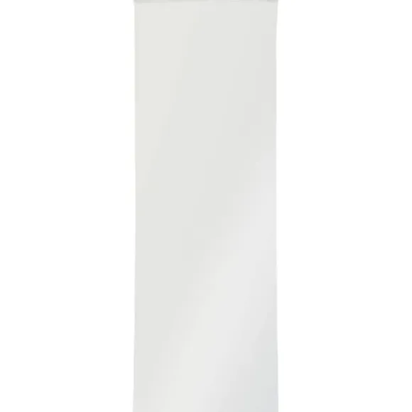 Blixtlåspåsar utan etikettremsor (L x B) 300 mm x 100 mm Transparent Polyeten 100 st