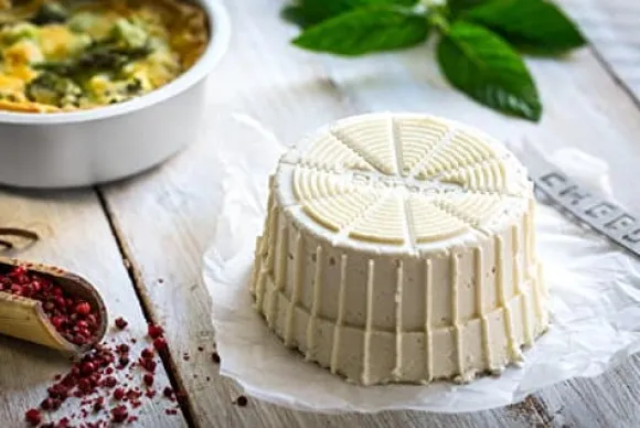 Borner Cheesemaker & Multimaker med fräscht lock, sikt salladsskål serveringsskål, gör din egen färskost hemma grön