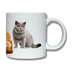 Brittiskt Korthår Katter Mugg