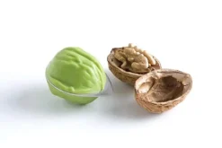 Brix Nutshucker Nötöppnare/nötknäppare