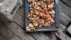 Bärtork, MSG-01, MPM