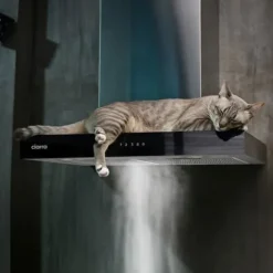 CIARRA Fläktkåpa 60 cm Wi-Fi ansluten Klass A+++ 650 m3/h 4 hastigheter Booster Pekskärm Köksfläkt rostfritt stål