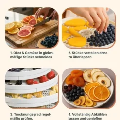 Dehydrator - CLATRONIC - DR 2751 Vit - 5 stapelbara nivåer - 3,5 kg mat - 250 Watt