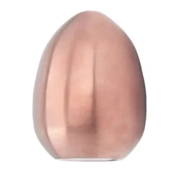 Äggkryddshaker i rostfritt stål Äggformad pepparshaker för utomhusgrill Restaurang Bankettfest Rose Gold