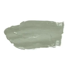 Grön matt väggfärg The Color Kitchen Sane Sage Dispersion exklusiv för inomhus Hög intensitet på 5 liter