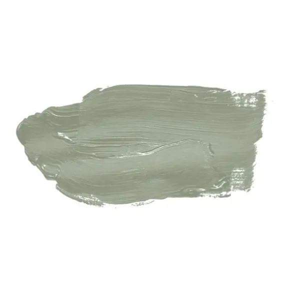 Grön matt väggfärg The Color Kitchen Sane Sage Dispersion exklusiv för inomhus Hög intensitet på 5 liter