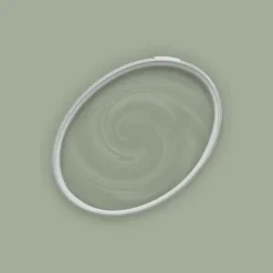 Grön matt väggfärg The Color Kitchen Sane Sage Dispersion exklusiv för inomhus Hög intensitet på 5 liter