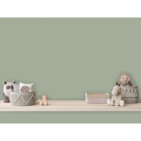 Grön matt väggfärg The Color Kitchen Sane Sage Dispersion exklusiv för inomhus Hög intensitet på 5 liter