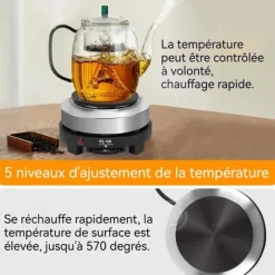 INN Elektrisk tebryggare med rostfritt stål, 14x14x12cm, intelligent inställning med flera säkerhetsskydd, uppvärmning ra