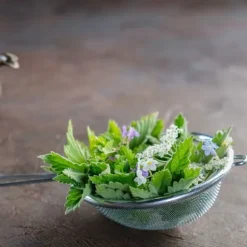 Kökssil i stål 10 cm