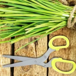 5-lagers kökssax i rostfritt stål för mat Strimlad strimlad schalottenlök Sushi Örtsax (Gul)[250]