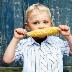 Majskolvstång i rostfritt stål - Dubbelstiftad majskolvstång - BBQ majskolvstång - 10 st