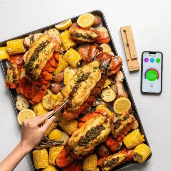 MEATER Plus - Bluetooth Stegetermometer - Op til 275°C