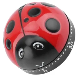 60-minuters nyckelpiga kökstimer