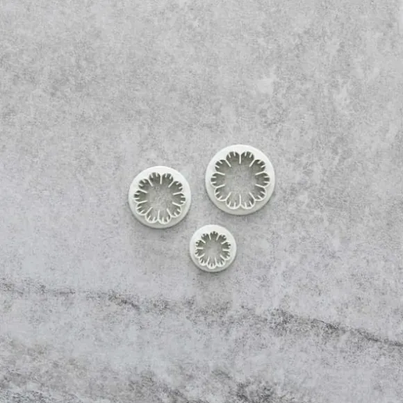 Nejlika Utstickare 3st |Blommor Trädgårdsnejlika