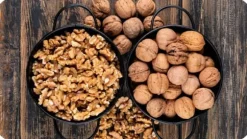 NÖTKNÄCKARE STARK FAST