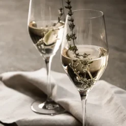 Sense Champagneglas 25,5cl, 6-pack - Orrefors