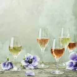 Sense Champagneglas 25,5cl, 6-pack - Orrefors