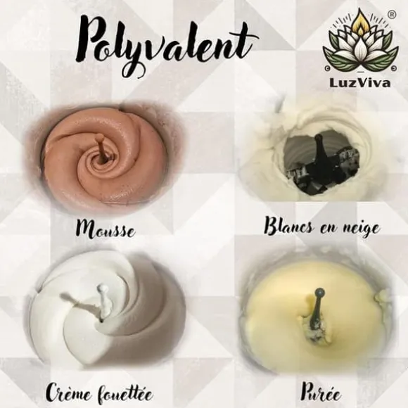 Set med 2 visptillbehör - Fjärilsvisp - Svart, kompatibel med Vorwerk Thermomix TM5 TM31 TM6 - Byte av fjärilsvisp