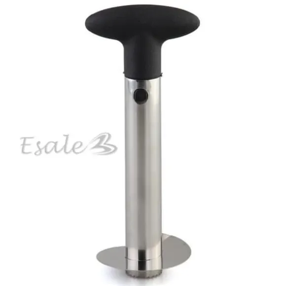 Skär ananas skivor tomma skal slå skala...