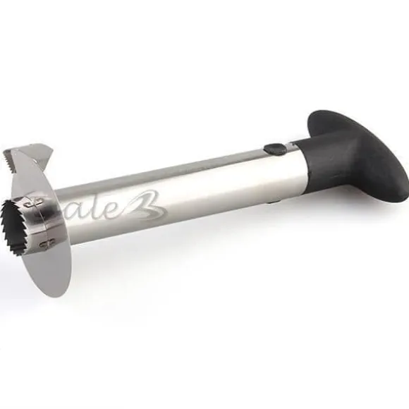 Skär ananas skivor tomma skal slå skala...