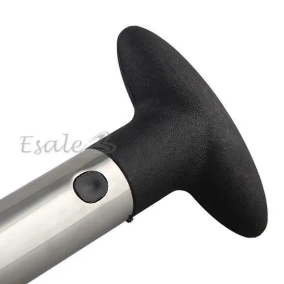 Skär ananas skivor tomma skal slå skala...