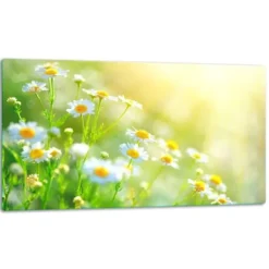 SKÄRBRÄDA I GLAS 52x30 BLOMMOR