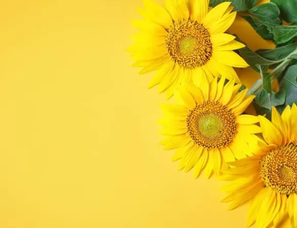 SKÄRBRÄDA I GLAS 52x40 BLOMMOR