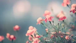 SKÄRBRÄDA I GLAS 52x30 BLOMMOR