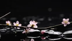 SKÄRBRÄDA I GLAS 52x30 BLOMMOR