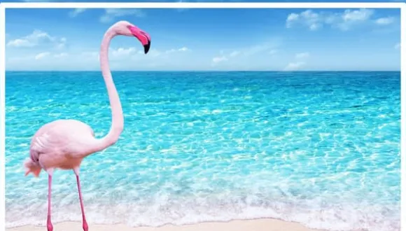 SKÄRBRÄDA I GLAS 52x30 FLAMINGO