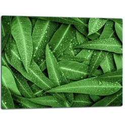 SKÄRBRÄDA I GLAS 52x40 GRÖN