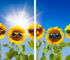 SKÄRBRÄDA I GLAS 2x 30x52 SOLROSOR