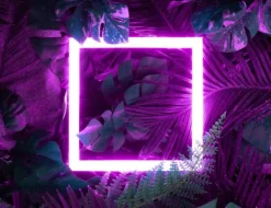 SKÄRBRÄDA I GLASPLATTA 52x40 DELAR