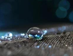 SKÄRBRÄDA I GLASPLATTA 52x40 DROP