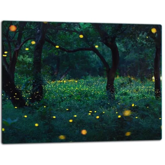 SKÄRBRÄDA I GLASPLATTA 52x40 FOREST