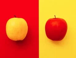 SKÄRBRÄDA I GLASPLATTA 52x40 FRUKT