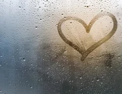 SKÄRBRÄDA I GLASPLATTA 52x40 HJÄRTA