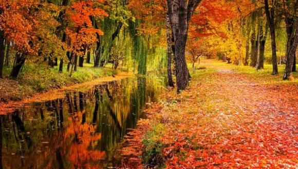 SKÄRBRÄDA I GLASPLATTA 52x30 LANDSKAP