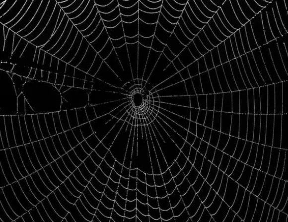 SKÄRBRÄDA I GLASPLATTA 52x40 SVART