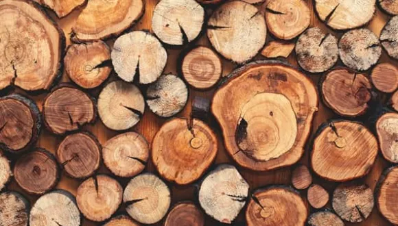 SKÄRBRÄDA I GLASPLATTA 52x30 TRÄ