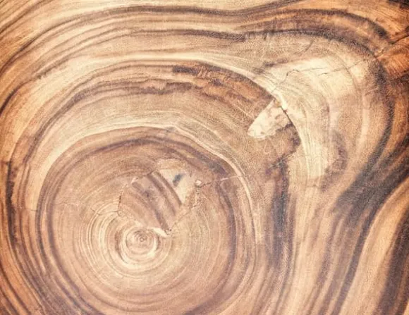 SKÄRBRÄDA I GLASPLATTA 52x40 TRÄ